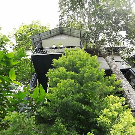 Moselberg Riverside Cottages Munnar Ngoại thất bức ảnh