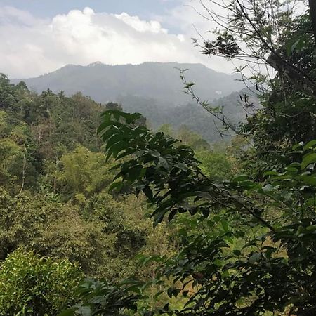 Moselberg Riverside Cottages Munnar Phòng bức ảnh