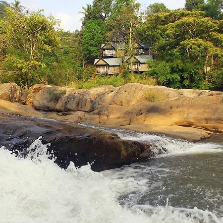 Moselberg Riverside Cottages Munnar Ngoại thất bức ảnh