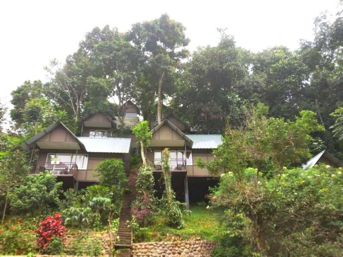 Moselberg Riverside Cottages Munnar Ngoại thất bức ảnh