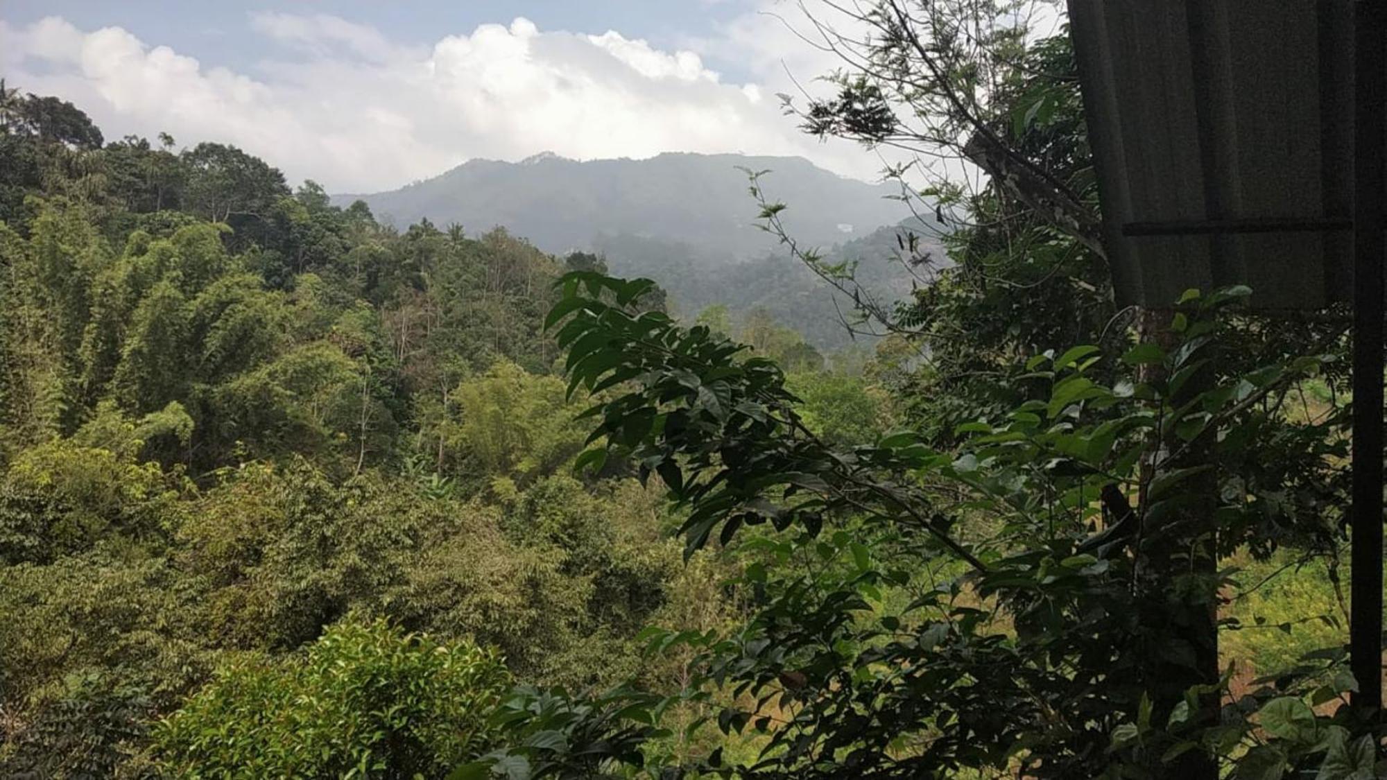 Moselberg Riverside Cottages Munnar Phòng bức ảnh