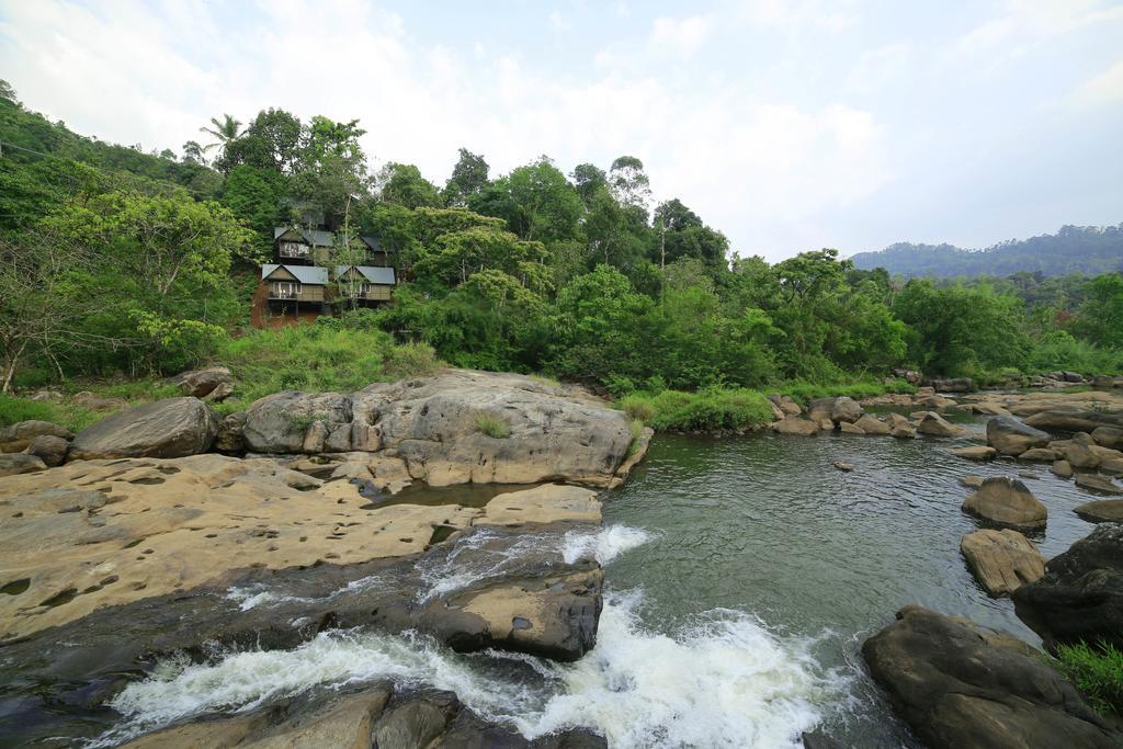 Moselberg Riverside Cottages Munnar Ngoại thất bức ảnh