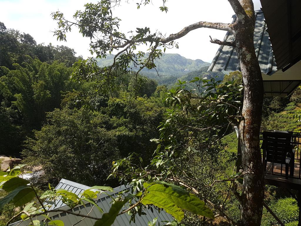 Moselberg Riverside Cottages Munnar Ngoại thất bức ảnh