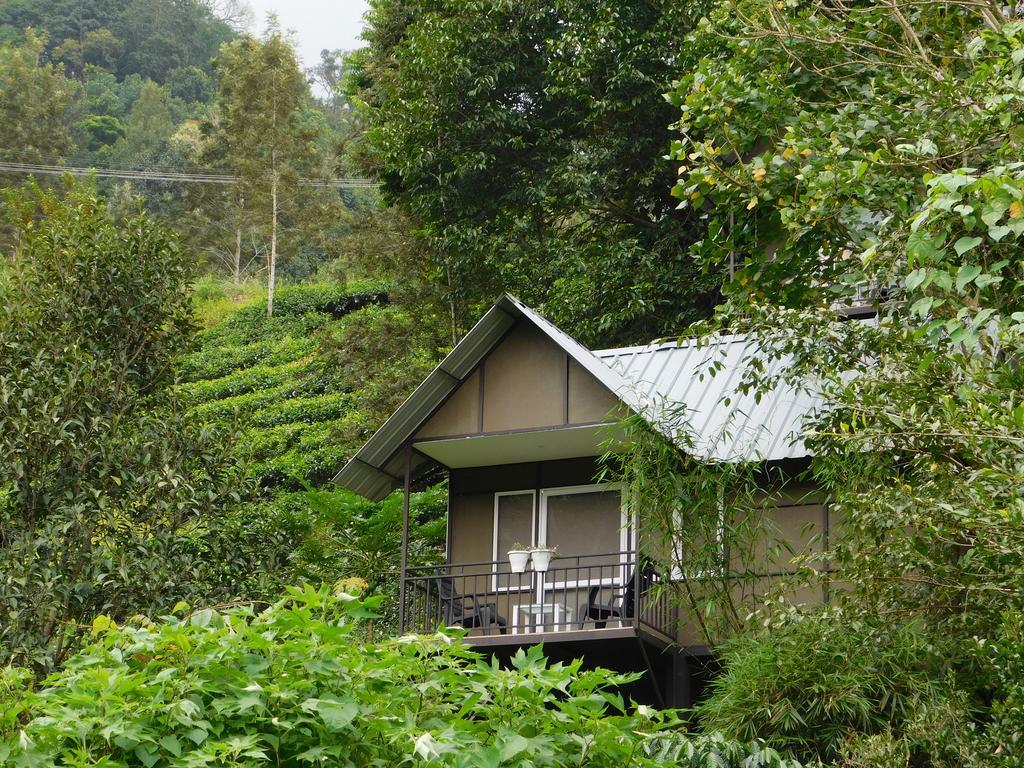 Moselberg Riverside Cottages Munnar Ngoại thất bức ảnh