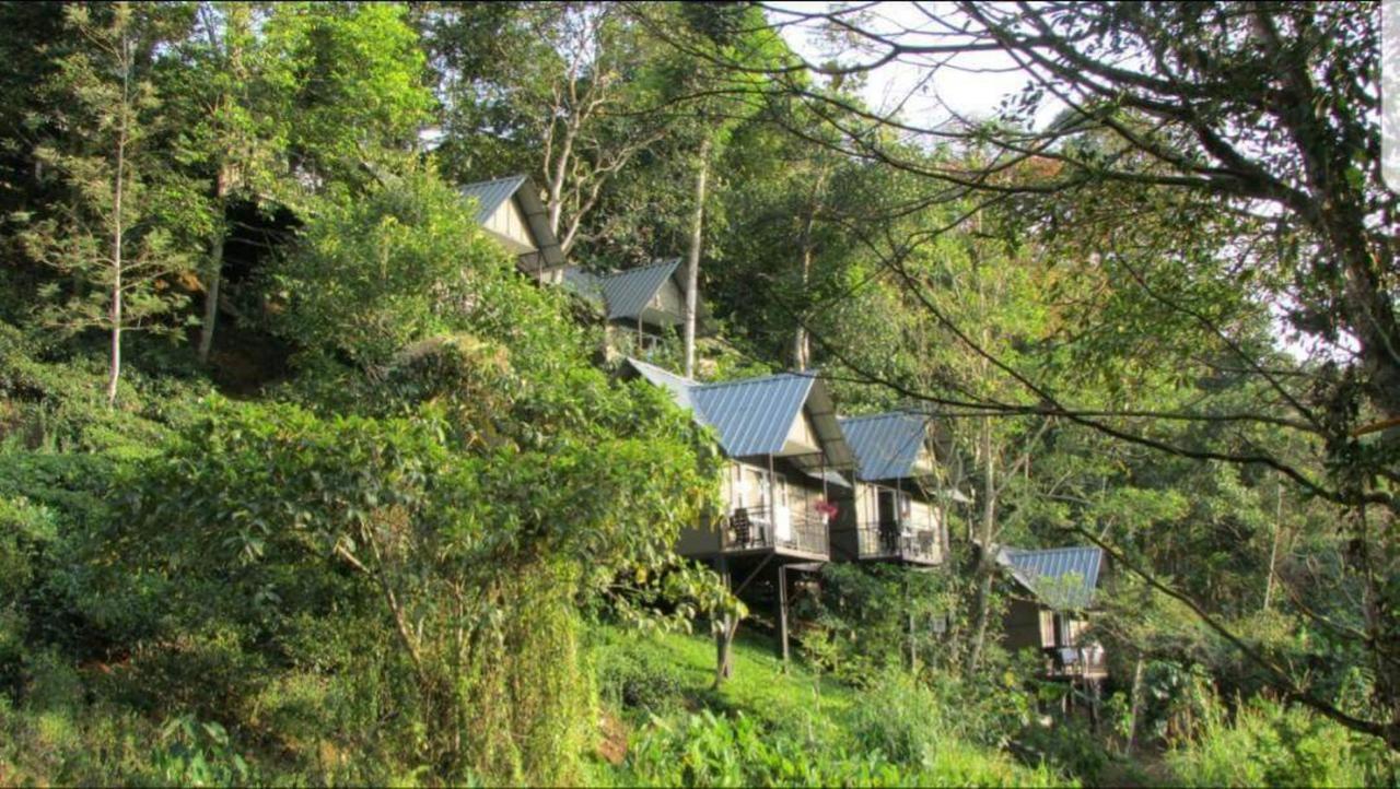 Moselberg Riverside Cottages Munnar Ngoại thất bức ảnh