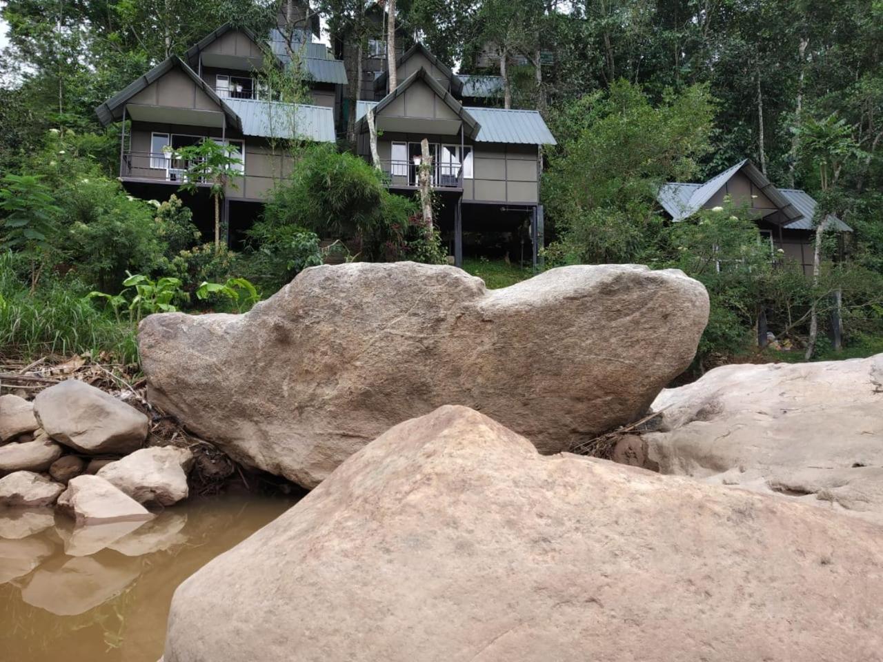 Moselberg Riverside Cottages Munnar Ngoại thất bức ảnh